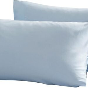 Microfiber Queen Bed Pillowcases 2 Pack, Super Soft Bed Pillow Covers Envelope Closure, Wrinkle, Fade and Stain Resistant, 20x30, Sky Blue