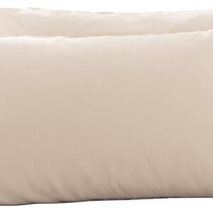 Microfiber Queen Bed Pillowcases 2 Pack, Super Soft Bed Pillow Covers Envelope Closure, Wrinkle, Fade and Stain Resistant, 20x30, Light Beige