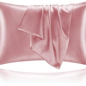 Satin Pillowcase for Hair and Skin, Super Soft and Cooling Similar to Silk Pillow Cases 2 Pack with Envelope Closure, Gift for Women Men(20"x30" Queen Size, Nostalgia)