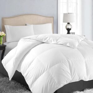 All Season Queen Size Soft Quilted Down Alternative Comforter Reversible Duvet Insert with Corner Tabs,Winter Summer Warm Fluffy,White,88x88 inches