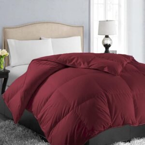 All Season Queen Size Soft Quilted Down Alternative Comforter Reversible Duvet Insert with Corner Tabs,Winter Summer Warm Fluffy,Burgundy,88x88 inches