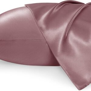 Satin Pillowcase for Hair and Skin Queen - Silky Pillowcase 2 Pack with Envelope Closure, Similar to Silk Pillow Cases, Gifts for Women Men, Nostalgia Rose, 20x30 Inches